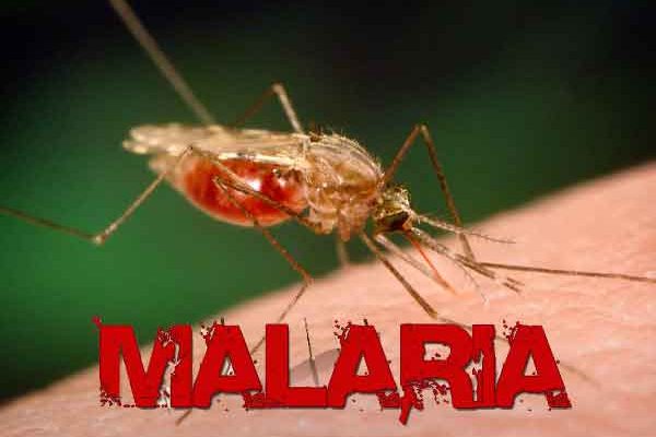 Ekiti_intensifies_effort_to_achieve malaria-free status