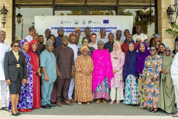 Creating a Model for Leadership, Governance and Management Capacity Strengthening for RMNCAH+N